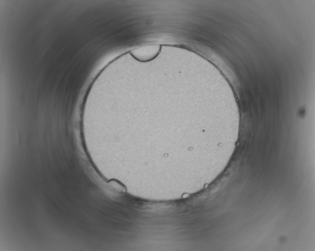 X0000116591187201001211319