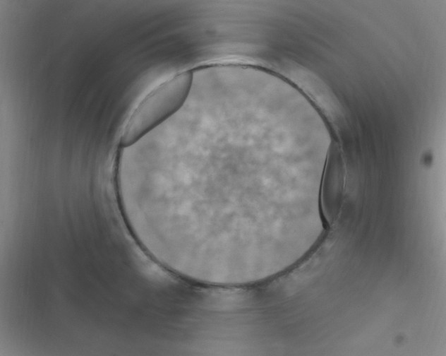 X0000116591189201001211319