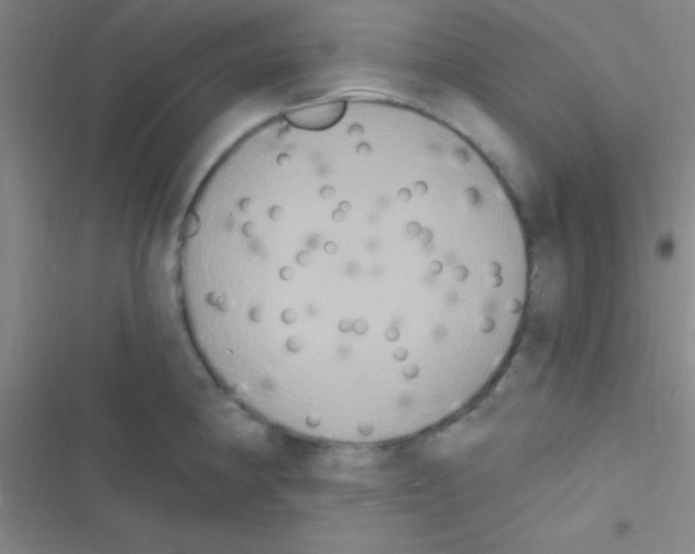 X0000116591190201001211319