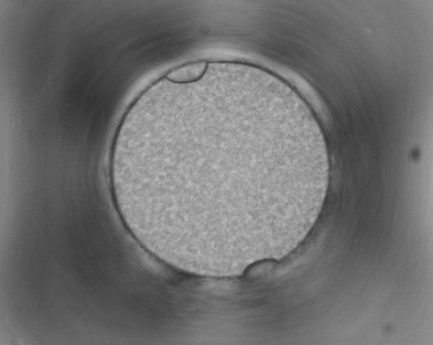 X0000116591191201001211319