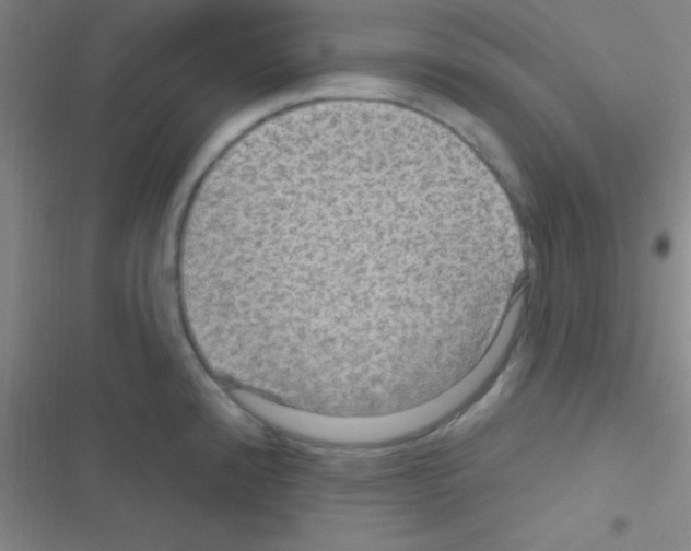 X0000116591192201001211319