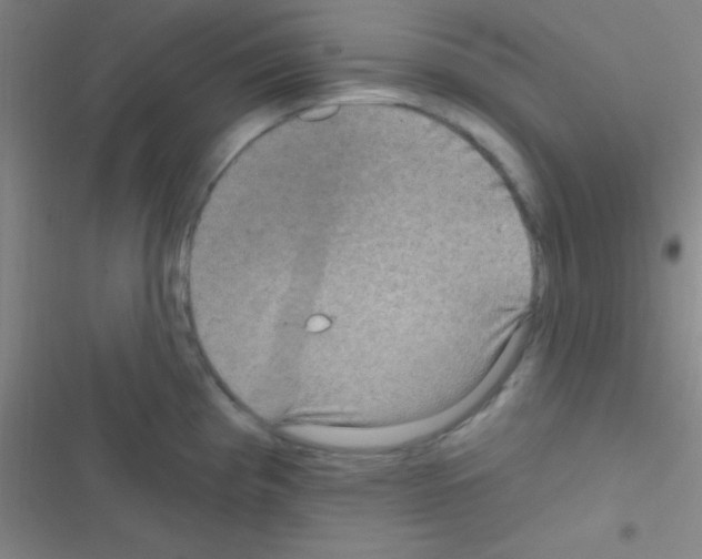 X0000116591193201001211319