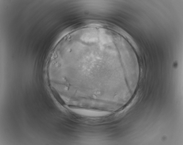 X0000116591194201001211319