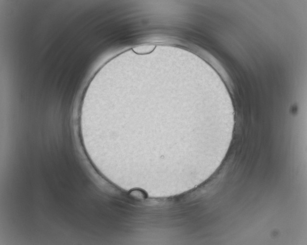 X0000116591195201001211319