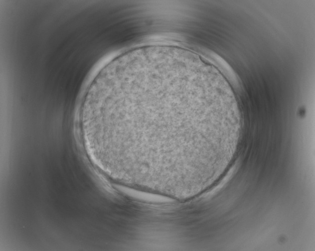 X0000116591196201001211319