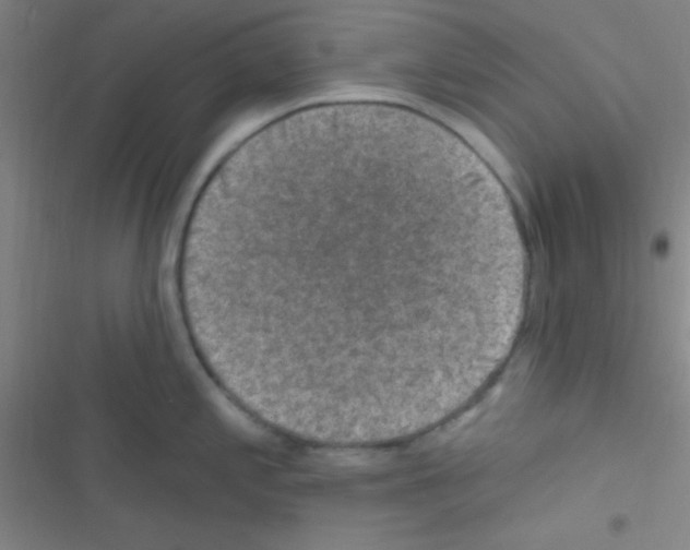 X0000116591197201001211319