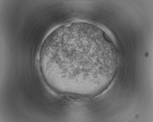 X0000116591198201001211319