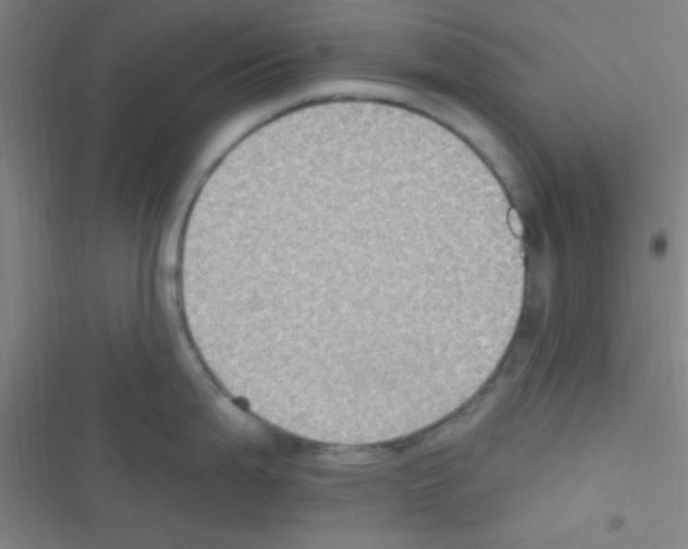 X0000116591199201001211319