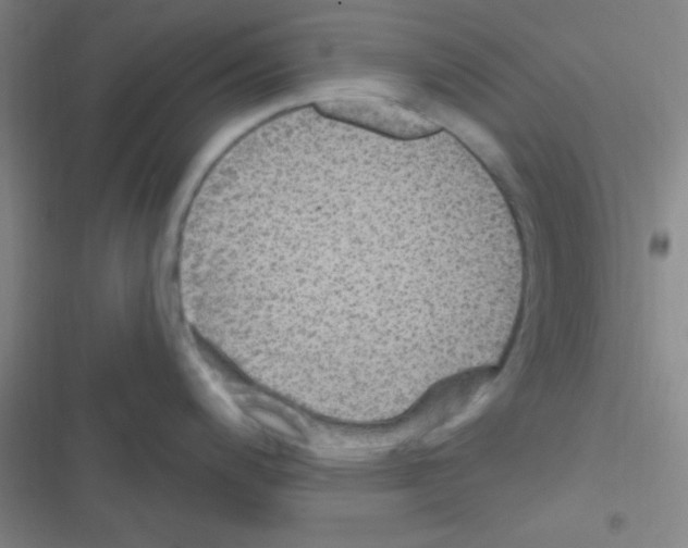 X0000116591200201001211319