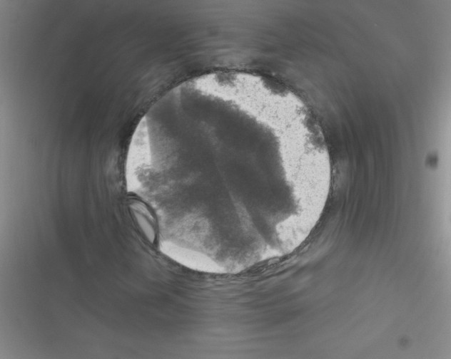 X0000116591202201001211319