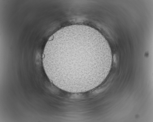 X0000116591203201001211319