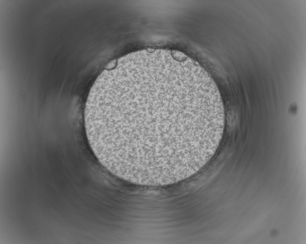 X0000116591204201001211319