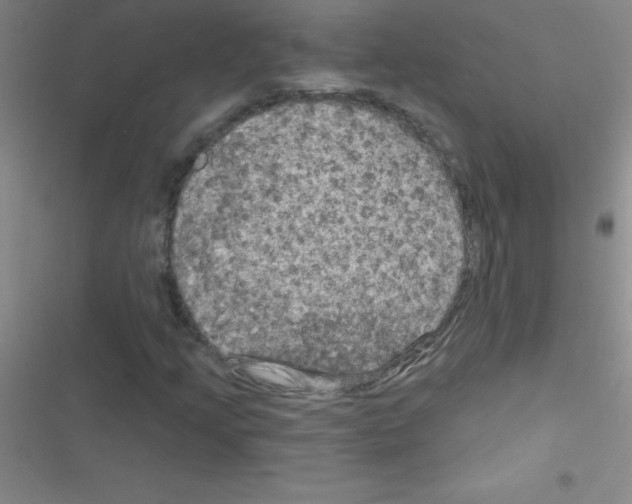 X0000116591205201001211319