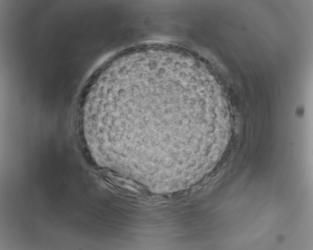 X0000116591208201001211319