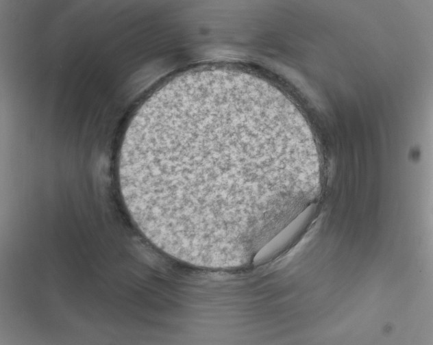 X0000116591209201001211319