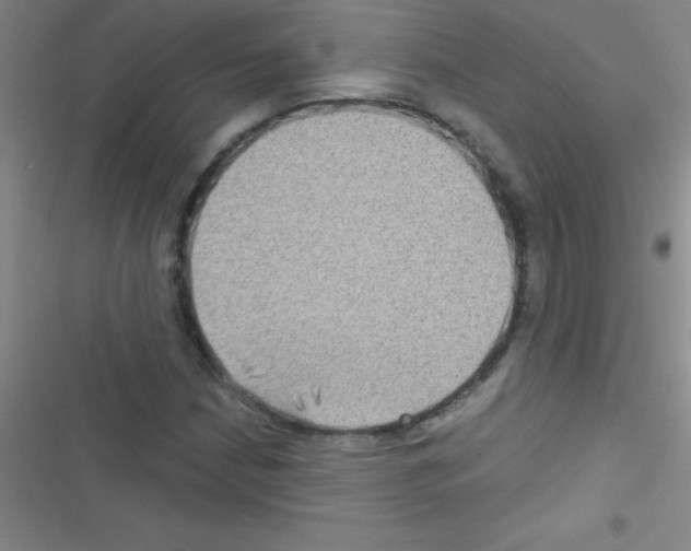 X0000116591210201001211319