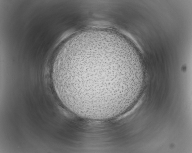 X0000116591211201001211319