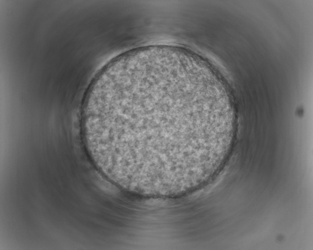 X0000116591212201001211319