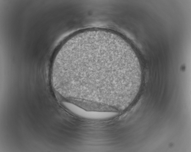 X0000116591214201001211319