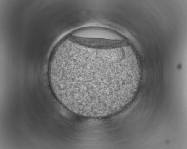 X0000116591216201001211319