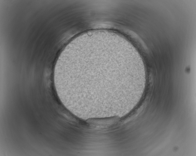 X0000116591217201001211319