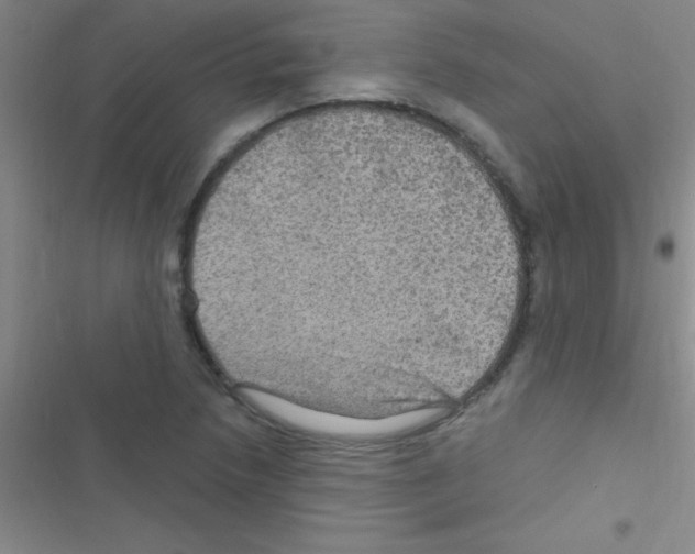 X0000116591218201001211319