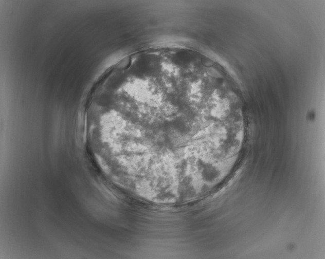 X0000116591219201001211319