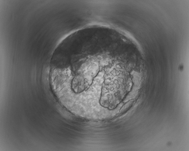 X0000116591220201001211319