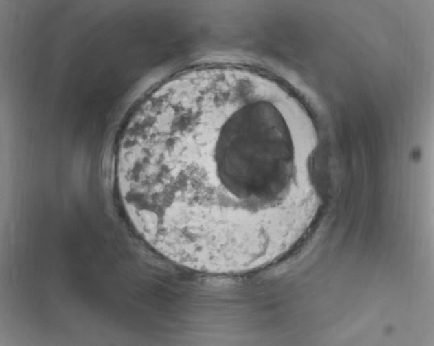 X0000116591221201001211319