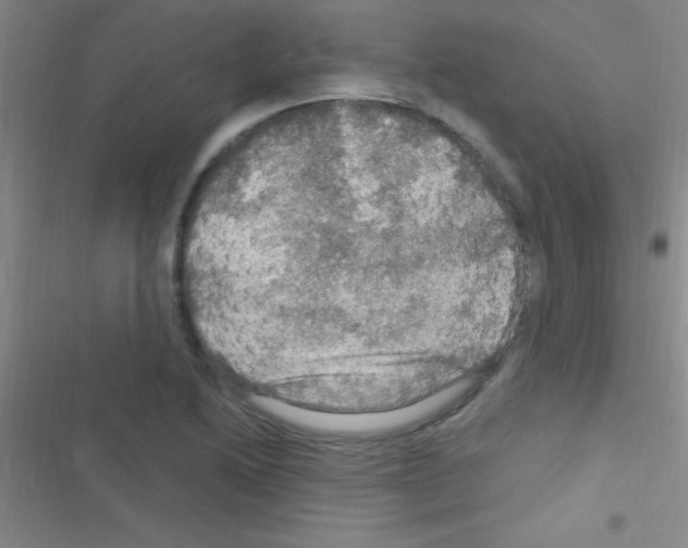 X0000116591222201001211319