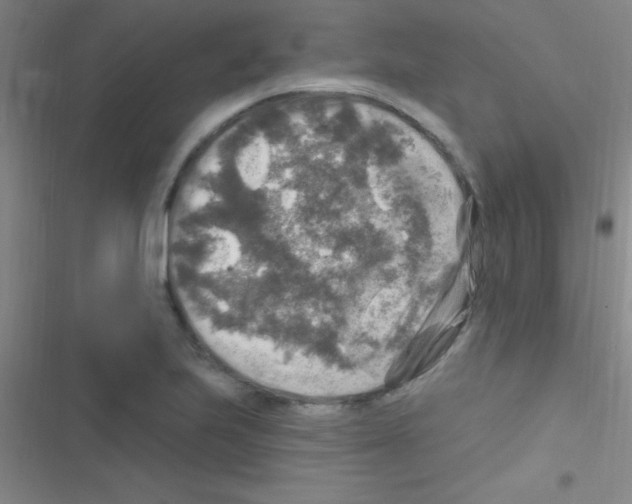 X0000116591223201001211319