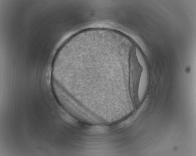 X0000116591224201001211319