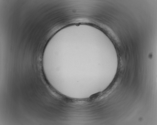 X0000116591225201001211319