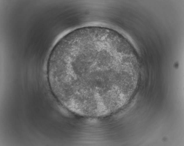 X0000116591230201001211319