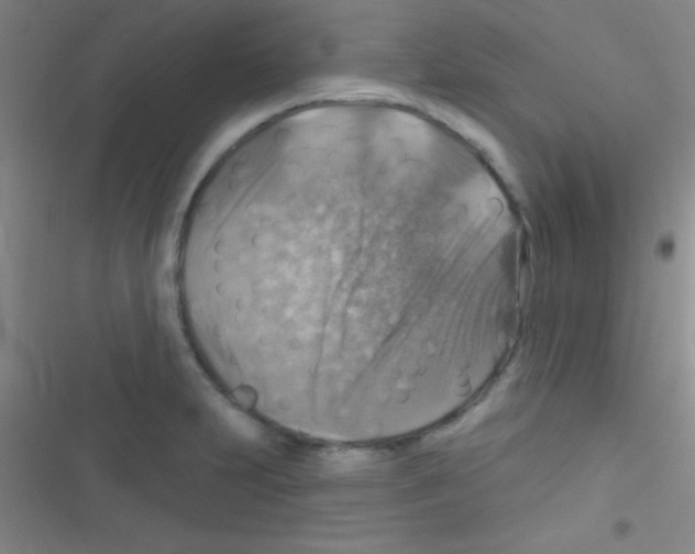 X0000116591231201001211319