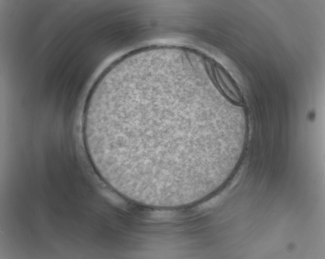 X0000116591232201001211319