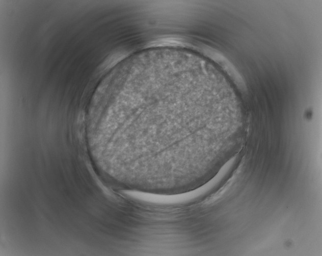 X0000116591233201001211319