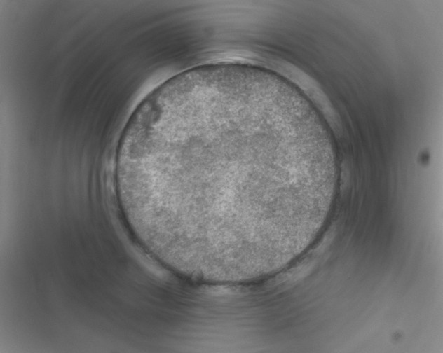 X0000116591234201001211319