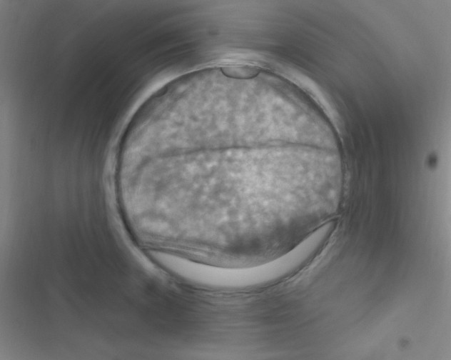 X0000116591235201001211319