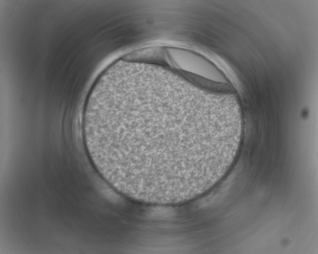 X0000116591238201001211319