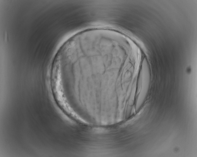 X0000116591239201001211319