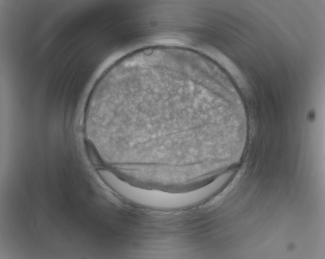 X0000116591240201001211319