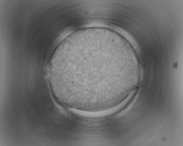 X0000116591241201001211319