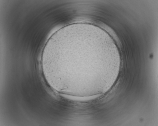 X0000116591242201001211319