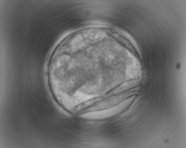 X0000116591243201001211319