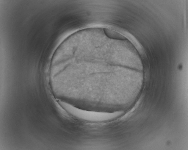 X0000116591244201001211319