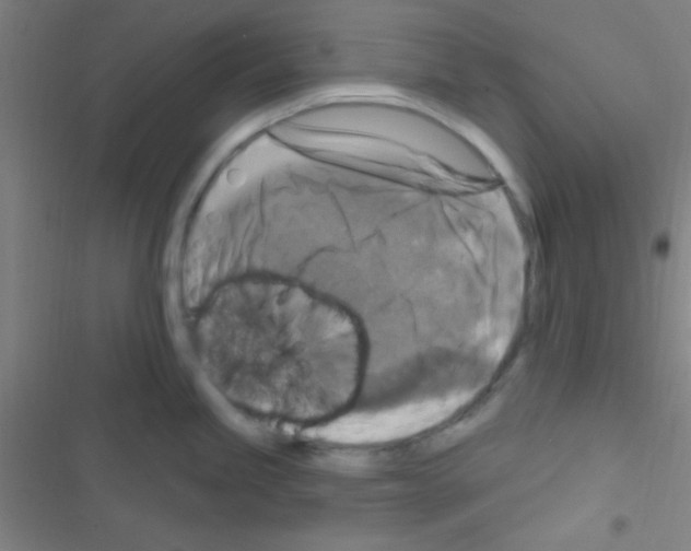 X0000116591245201001211319