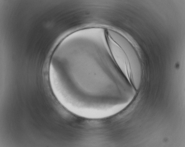 X0000116591246201001211319