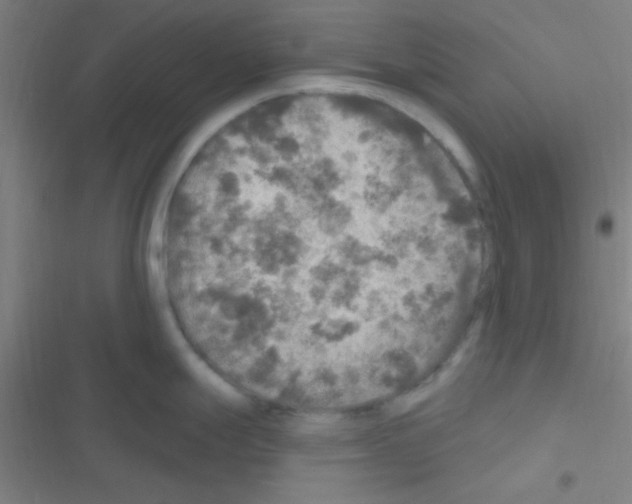 X0000116591247201001211319