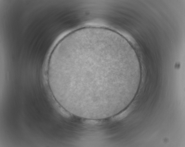 X0000116591248201001211319